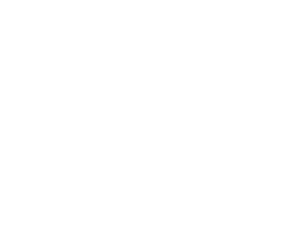 Kiwiesque Logo